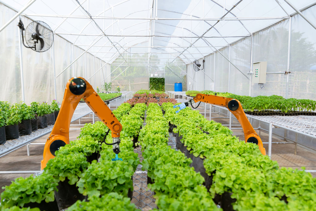 Israeli Researchers Create Robotic Pollinator